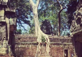 Paysages et diversité de Thaïlande