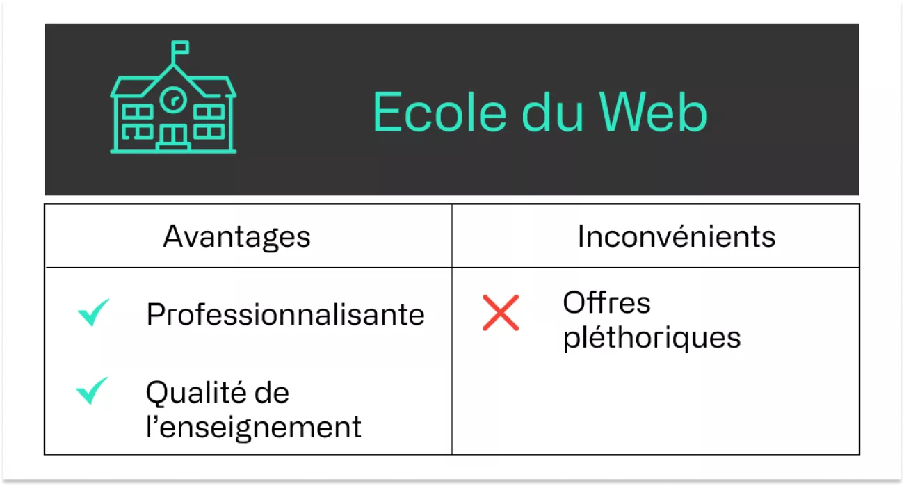 Avantages & inconvénients d'une école du web